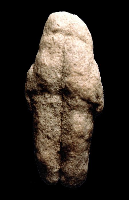 Image result for Ardipithecus Ramidus Fossils