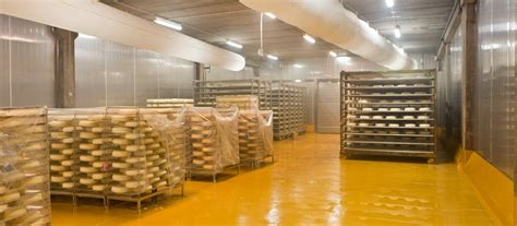 Los riesgos de patógenos en el suelo de su planta de alimentos ...