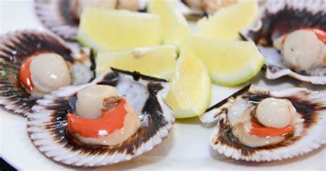 Probar los mejores ostiones en Tongoy - La Tercera