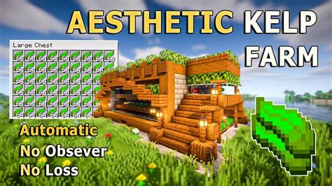 Image result for Kelp Farm Minecraft Java Easy