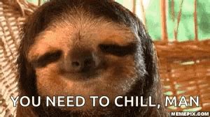 Image result for Chill Sloth