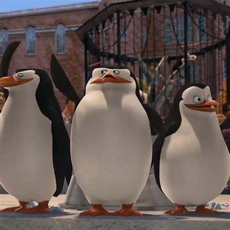 Just smile and wave, boys. Smile and wave. Kowalski, progress report ...