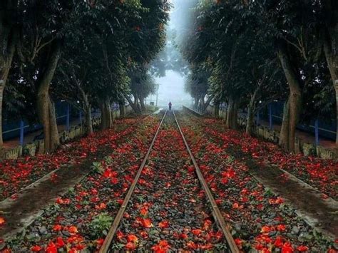 ये हैं देश के 7 बेहद खूबसूरत रेलवे स्‍टेशन, इन्‍हें देखते ही आप कहेंगे ...