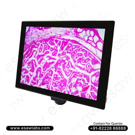 Shop ScopePad Microscope Tablet – Digital Imaging & Analysis Solution