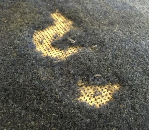 Image result for Moth Rash