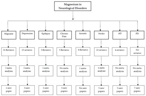 The Role of Magnesium in Neurological Disorders