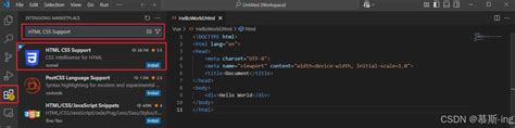 Auto HTML CSS JavaScript Vscode 的图像结果