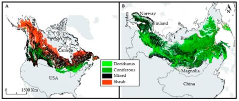 Effects Of Climate Change On Boreal Forest at Samantha Mcwhae blog
