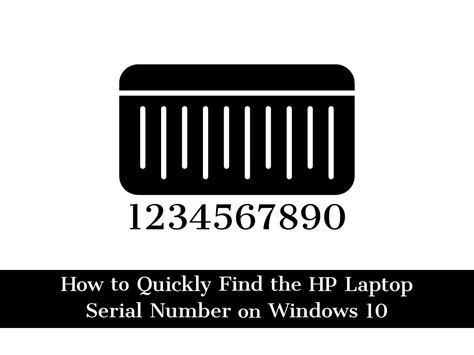 HP Serial Number Lookup 的图像结果