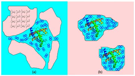 More than a Confinement: “Soft” and “Hard” Enzyme Entrapment Modulates ...