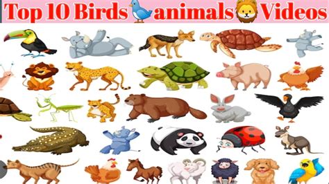 Image result for Watchmojo.com Top 10 Animals