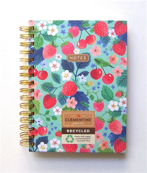 CLEMENTINE PAPER INC. | 300 Page Spiral Lined Notebook | 8.5" X 6.25 ...