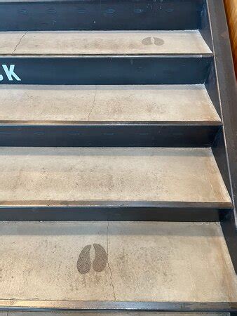 Tillamook Creamery - All You Need to Know BEFORE You Go