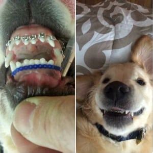 Image result for API C# Example