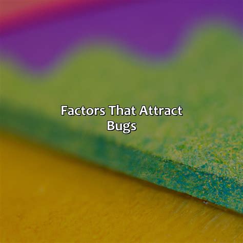 What Color Does Not Attract Bugs - colorscombo.com