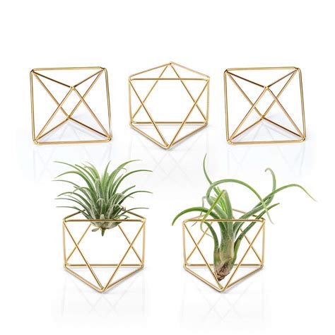 Mkono 5 Packs Air Plant Holder Mini Metal Tabletop Himmeli Decor Modern ...