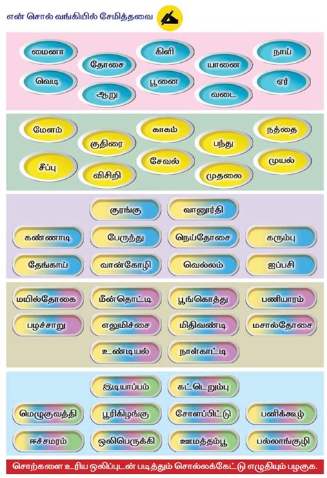 விளையாட்டு உலகம்: கேள்விகள் மற்றும் பதில்கள் - பருவம் 1 இயல் 1 | 2 ஆம் ...