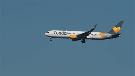 Condor Airlines still operating as normal following collapse of Thomas ...