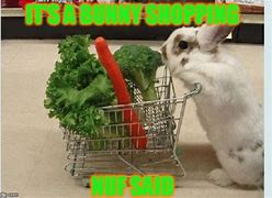 Image result for Meme Awesome Bunny