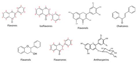 Influence of Vinification Strategies on Wine Polyphenolic Profile ...