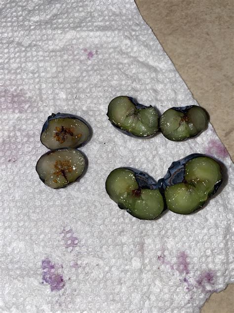 Driscoll’s Sweetest Batch Blueberries don’t have seeds? : r/Berries