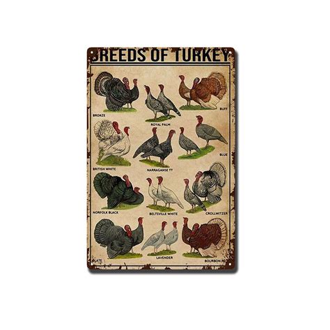 Yluyinom Tin Sign Painting Breeds Of Turkey Poster Turkey Knowledge ...