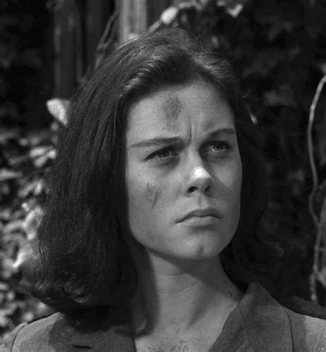 Hair Fan's Hall of Fame: Elizabeth Montgomery