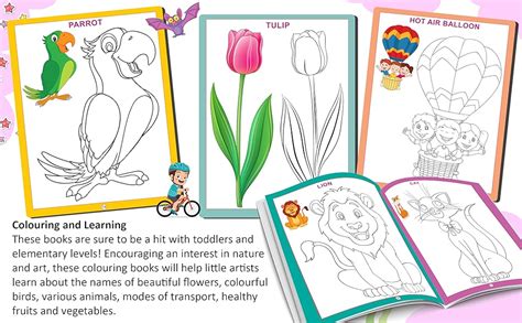 Set of 6 Copy Colour Books for Kids Age 3–5 Years | Animals, Birds ...