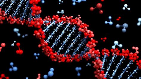 Interesting Genetics 的图像结果