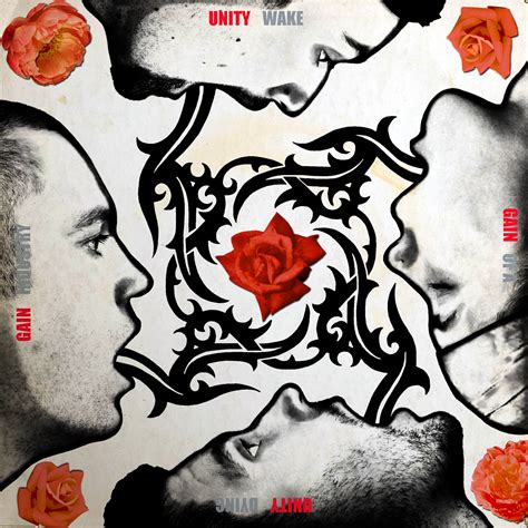 Image result for Setting Unity Gain