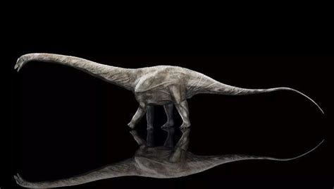 Scientists crowned the world's longest dinosaur — a Supersaurus longer ...