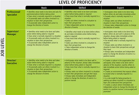 Competency Levels 的图像结果