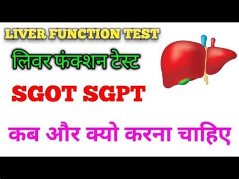 Ast Liver Function Test Normal Range - Lacmymages