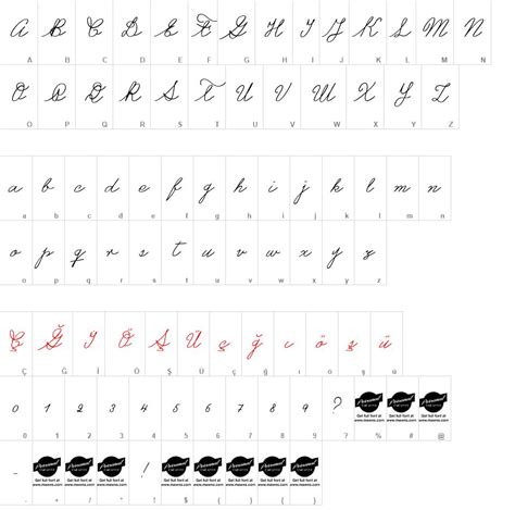 Image result for Castro Script Font