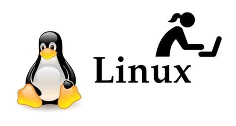Best Linux OS for Developers 的图像结果