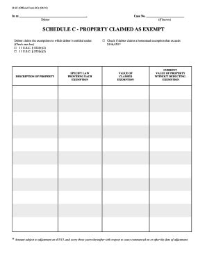 Bankruptcy B6C 2010-2026 - Fill and Sign Printable Template Online