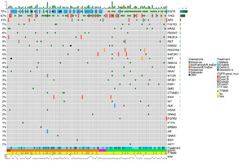 Molecular Divergence upon EGFR-TKI Resistance Could Be Dependent on the ...