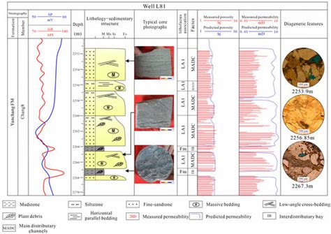 Diagenesis Variation in Different Distributary Channels of Shallow ...