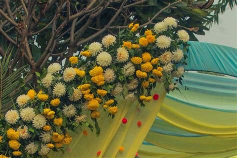 Manvi Hospitality - Venue - Ramnagar - Jim Corbett - Weddingwire.in