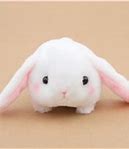 Image result for Baby Bunny Plushies