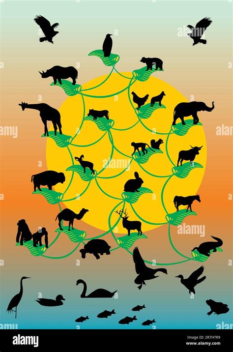 Evolution Chart All Animals 的图像结果