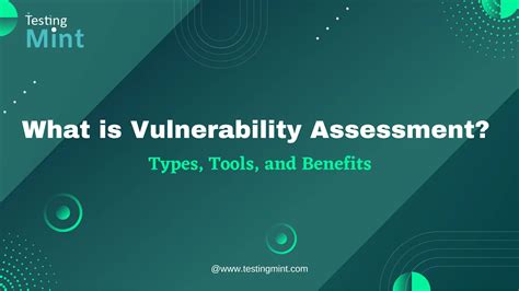 Vulnerabilities Assessment 的图像结果