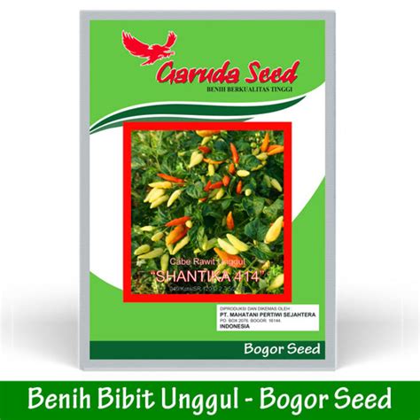 Jual Cabe Rawit Super - Bibit Benih Cabe Rawit Super Unggul SHANTIKA ...