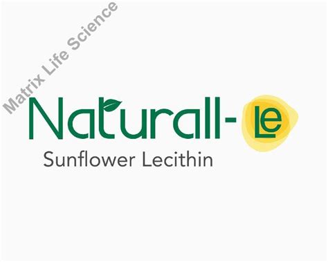 Lecithin Powder Manufacturer, Exporter from Aurangabad
