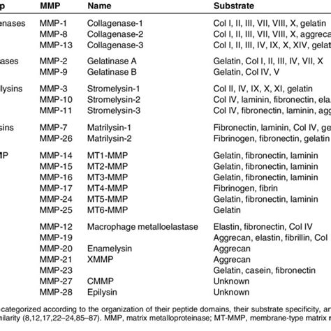 Image result for MMP Pool