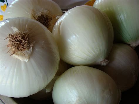 Natural Remedy: Onion in Socks