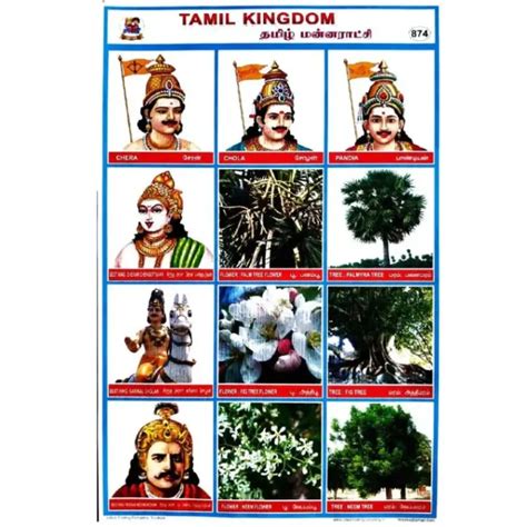 Buy Tamil Kingdom School Project Chart Stickers Online in Tirunelveli ...