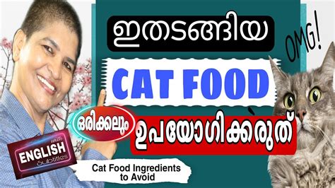 Image result for Discus Fish Care Guide