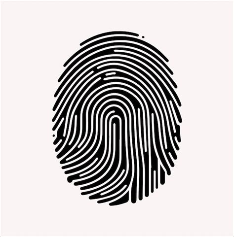 Силуэт биометрического вектора отпечатка пальца на белом фоне | Премиум ...