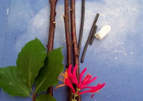 Garden Craft Tutorials 的图像结果